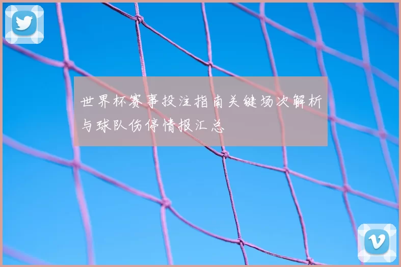 世界杯赛事投注指南关键场次解析与球队伤停情报汇总