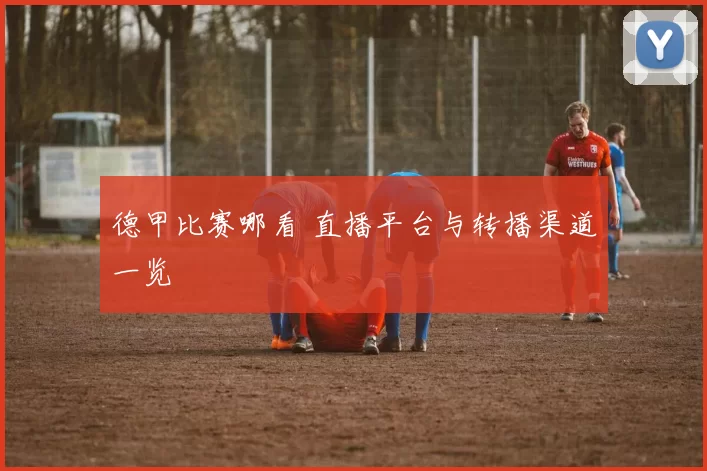 德甲比赛哪看 直播平台与转播渠道一览