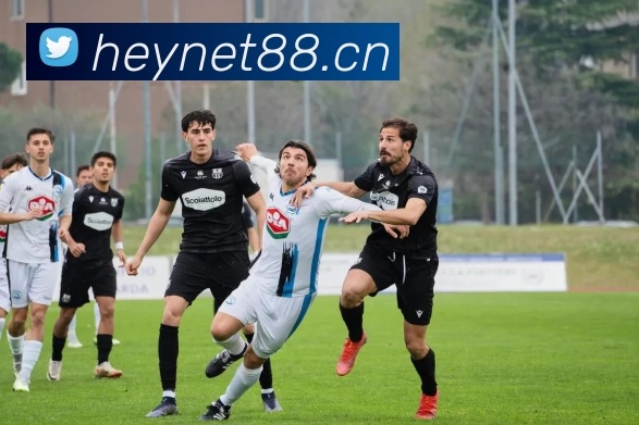 中国(九游会·J9)官方网站 - 首页全站App